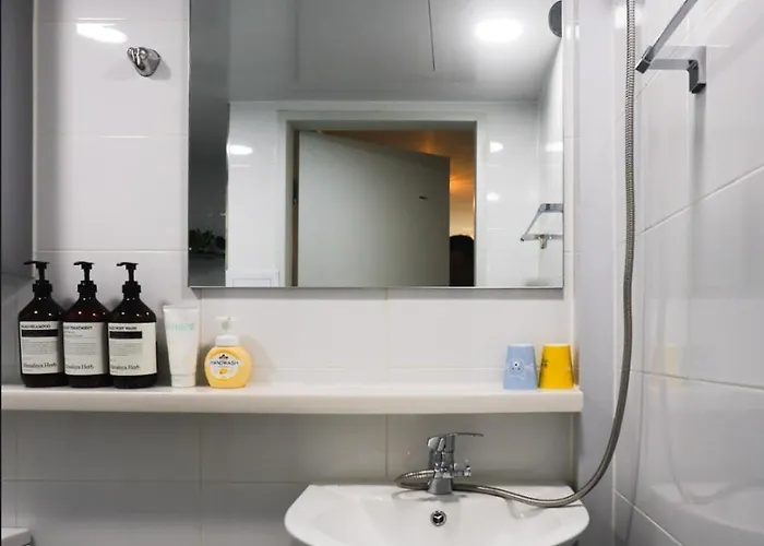Premium Spacious House,hongik 1 Stop,hapjeong Station 3 Minutes On Foot,free Laundry And Drying,good For Family And Friends Gathering,3r4b,9 People Séoul