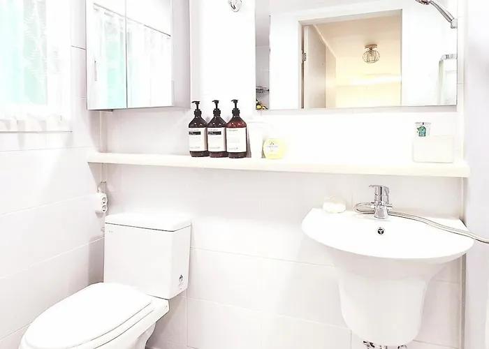 Premium Spacious House,hongik 1 Stop,hapjeong Station 3 Minutes On Foot,free Laundry And Drying,good For Family And Friends Gathering,3r4b,9 People Appartement