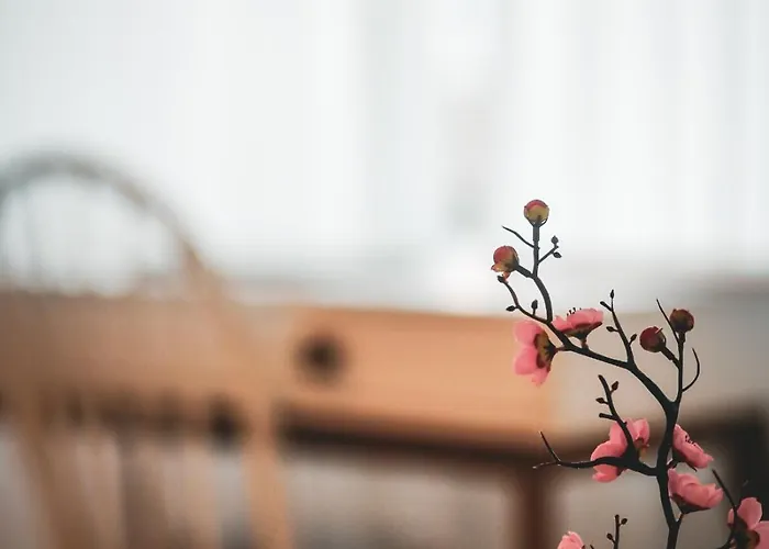 Premium Spacious House,hongik 1 Stop,hapjeong Station 3 Minutes On Foot,free Laundry And Drying,good For Family And Friends Gathering,3r4b,9 People Appartement Séoul