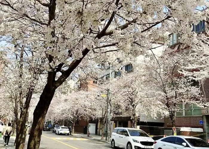Appartement Premium Spacious House,hongik 1 Stop,hapjeong Station 3 Minutes On Foot,free Laundry And Drying,good For Family And Friends Gathering,3r4b,9 People Séoul